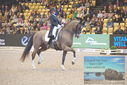 Filename=PT9_2642.JPG
Filesize=485KiB
Dimensions=1224x817
Date added=Mar 11, 2023 PT9_2642.JPG