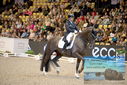 Filename=PT9_3189.JPG
Filesize=424KiB
Dimensions=1224x817
Date added=Mar 12, 2023 PT9_3189.JPG