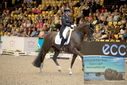 Filename=PT9_3192.JPG
Filesize=421KiB
Dimensions=1224x817
Date added=Mar 12, 2023 PT9_3192.JPG