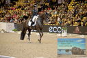 Filename=PT9_3199.JPG
Filesize=493KiB
Dimensions=1224x817
Date added=Mar 12, 2023 PT9_3199.JPG