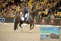 Filename=PT9_3201.JPG
Filesize=455KiB
Dimensions=1224x817
Date added=Mar 12, 2023 PT9_3201.JPG