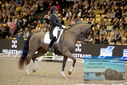 Filename=PT9_3243.JPG
Filesize=450KiB
Dimensions=1224x817
Date added=Mar 12, 2023 PT9_3243.JPG