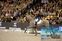 Filename=PT9_3315.JPG
Filesize=444KiB
Dimensions=1224x817
Date added=Mar 12, 2023 PT9_3315.JPG