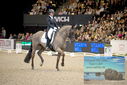Filename=PT9_3318.JPG
Filesize=362KiB
Dimensions=1224x817
Date added=Mar 12, 2023 PT9_3318.JPG