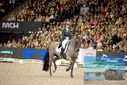Filename=PT9_3326.JPG
Filesize=457KiB
Dimensions=1224x817
Date added=Mar 12, 2023 PT9_3326.JPG
