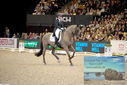Filename=PT9_3327.JPG
Filesize=414KiB
Dimensions=1224x817
Date added=Mar 12, 2023 PT9_3327.JPG