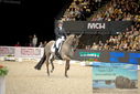Filename=PT9_3330.JPG
Filesize=368KiB
Dimensions=1224x817
Date added=Mar 12, 2023 PT9_3330.JPG