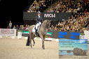 Filename=PT9_3331.JPG
Filesize=390KiB
Dimensions=1224x817
Date added=Mar 12, 2023 PT9_3331.JPG