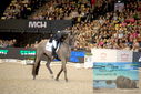 Filename=PT9_3334.JPG
Filesize=418KiB
Dimensions=1224x817
Date added=Mar 12, 2023 PT9_3334.JPG