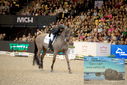 Filename=PT9_3335.JPG
Filesize=433KiB
Dimensions=1224x817
Date added=Mar 12, 2023 PT9_3335.JPG