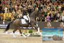 Filename=PT9_3617.JPG
Filesize=491KiB
Dimensions=1224x817
Date added=Mar 12, 2023 PT9_3617.JPG