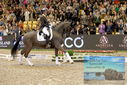 Filename=PT9_3628.JPG
Filesize=573KiB
Dimensions=1224x817
Date added=Mar 12, 2023 PT9_3628.JPG