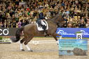 Filename=PT9_3631.JPG
Filesize=542KiB
Dimensions=1224x817
Date added=Mar 12, 2023 PT9_3631.JPG