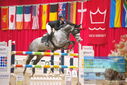 Filename=PT9_3973.JPG
Filesize=365KiB
Dimensions=1224x817
Date added=Mar 13, 2023 PT9_3973.JPG