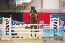 Filename=PT9_3976.JPG
Filesize=366KiB
Dimensions=1224x817
Date added=Mar 13, 2023 PT9_3976.JPG