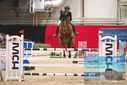 Filename=PT9_3977.JPG
Filesize=364KiB
Dimensions=1224x817
Date added=Mar 13, 2023 PT9_3977.JPG