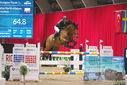 Filename=PT9_3978.JPG
Filesize=406KiB
Dimensions=1224x817
Date added=Mar 13, 2023 PT9_3978.JPG