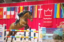 Filename=PT9_3980.JPG
Filesize=415KiB
Dimensions=1224x817
Date added=Mar 13, 2023 PT9_3980.JPG
