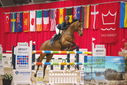 Filename=PT9_3990.JPG
Filesize=407KiB
Dimensions=1224x817
Date added=Mar 13, 2023 PT9_3990.JPG