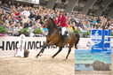 Filename=PT9_4022.JPG
Filesize=467KiB
Dimensions=1224x817
Date added=Mar 13, 2023 PT9_4022.JPG