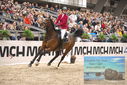 Filename=PT9_4024.JPG
Filesize=463KiB
Dimensions=1224x817
Date added=Mar 13, 2023 PT9_4024.JPG