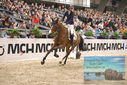 Filename=PT9_4036.JPG
Filesize=486KiB
Dimensions=1224x817
Date added=Mar 13, 2023 PT9_4036.JPG