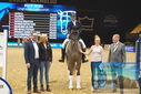 Filename=PT9_4189.JPG
Filesize=454KiB
Dimensions=1224x817
Date added=Mar 13, 2023 PT9_4189.JPG