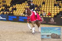 Filename=PT9_4231.JPG
Filesize=469KiB
Dimensions=1224x817
Date added=Mar 13, 2023 PT9_4231.JPG