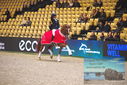 Filename=PT9_4232.JPG
Filesize=442KiB
Dimensions=1224x817
Date added=Mar 13, 2023 PT9_4232.JPG
