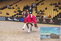 Filename=PT9_4236.JPG
Filesize=505KiB
Dimensions=1224x817
Date added=Mar 13, 2023 PT9_4236.JPG