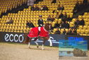 Filename=PT9_4237.JPG
Filesize=468KiB
Dimensions=1224x817
Date added=Mar 13, 2023 PT9_4237.JPG