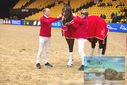 Filename=PT9_4255.JPG
Filesize=516KiB
Dimensions=1224x817
Date added=Mar 13, 2023 PT9_4255.JPG