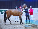 Filename=driver_01.jpg
Filesize=574KiB
Dimensions=1137x879
Date added=Mar 10, 2023 driver_01.jpg