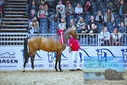 Filename=driver_02.jpg
Filesize=620KiB
Dimensions=1224x817
Date added=Mar 10, 2023 driver_02.jpg