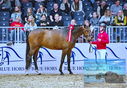 Filename=driver_03.jpg
Filesize=616KiB
Dimensions=1203x831
Date added=Mar 10, 2023 driver_03.jpg