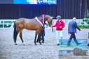 Filename=driver_08.jpg
Filesize=578KiB
Dimensions=1224x817
Date added=Mar 10, 2023 driver_08.jpg