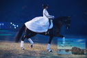 Filename=PT9_2682.JPG
Filesize=326KiB
Dimensions=1224x817
Date added=Mar 11, 2023 PT9_2682.JPG