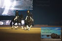 Filename=PT9_2697.JPG
Filesize=340KiB
Dimensions=1224x817
Date added=Mar 11, 2023 PT9_2697.JPG