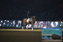 Filename=PT9_2707.JPG
Filesize=355KiB
Dimensions=1224x817
Date added=Mar 11, 2023 PT9_2707.JPG