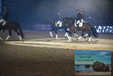 Filename=PT9_2709.JPG
Filesize=312KiB
Dimensions=1224x817
Date added=Mar 11, 2023 PT9_2709.JPG