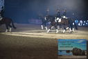 Filename=PT9_2710.JPG
Filesize=314KiB
Dimensions=1224x817
Date added=Mar 11, 2023 PT9_2710.JPG