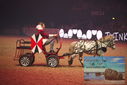 Filename=PT9_2721.JPG
Filesize=350KiB
Dimensions=1224x817
Date added=Mar 11, 2023 PT9_2721.JPG