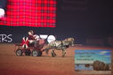 Filename=PT9_2723.JPG
Filesize=343KiB
Dimensions=1224x817
Date added=Mar 11, 2023 PT9_2723.JPG