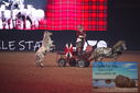 Filename=PT9_2725.JPG
Filesize=351KiB
Dimensions=1224x817
Date added=Mar 11, 2023 PT9_2725.JPG