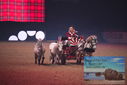 Filename=PT9_2727.JPG
Filesize=314KiB
Dimensions=1224x817
Date added=Mar 11, 2023 PT9_2727.JPG