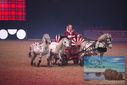 Filename=PT9_2728.JPG
Filesize=338KiB
Dimensions=1224x817
Date added=Mar 11, 2023 PT9_2728.JPG