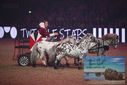 Filename=PT9_2729.JPG
Filesize=330KiB
Dimensions=1224x817
Date added=Mar 11, 2023 PT9_2729.JPG