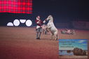 Filename=PT9_2733.JPG
Filesize=295KiB
Dimensions=1224x817
Date added=Mar 11, 2023 PT9_2733.JPG