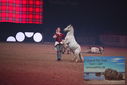 Filename=PT9_2735.JPG
Filesize=282KiB
Dimensions=1224x817
Date added=Mar 11, 2023 PT9_2735.JPG