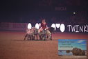 Filename=PT9_2737.JPG
Filesize=282KiB
Dimensions=1224x817
Date added=Mar 11, 2023 PT9_2737.JPG